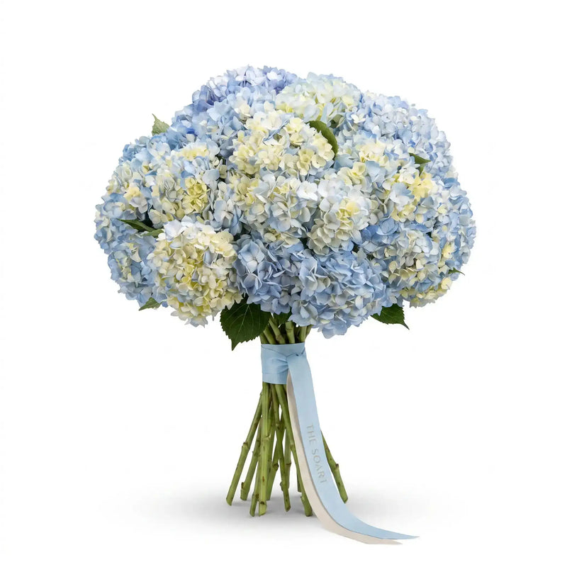 Just Hydrangeas Blue hand-tied hydrangea bouquet by The SoArt