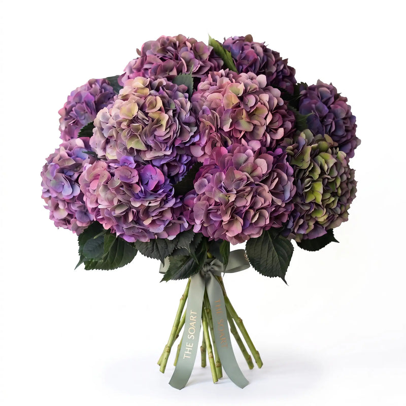 Just Hydrangeas Purple hand-tied hydrangea bouquet by The SoArt
