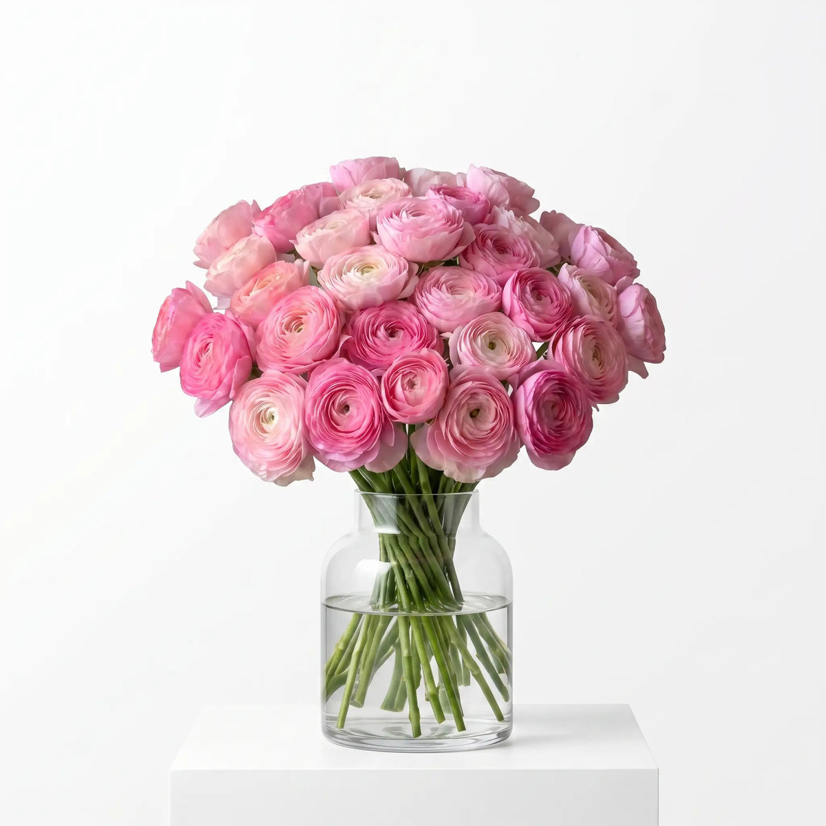 Just Ranunculus Pink ranunculus bouquet arranged in a glass vase
