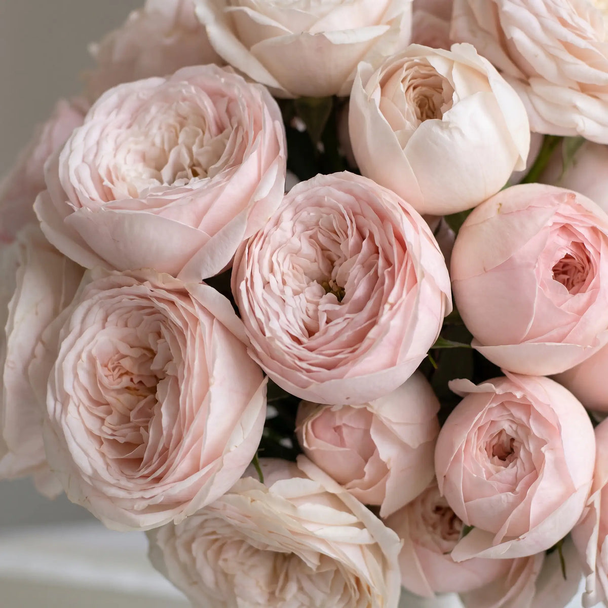     Close-up of Just Roses hand-tied rose bouquet