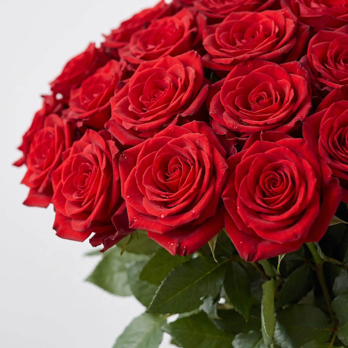 Close-up of Just Roses Red rose bouquet