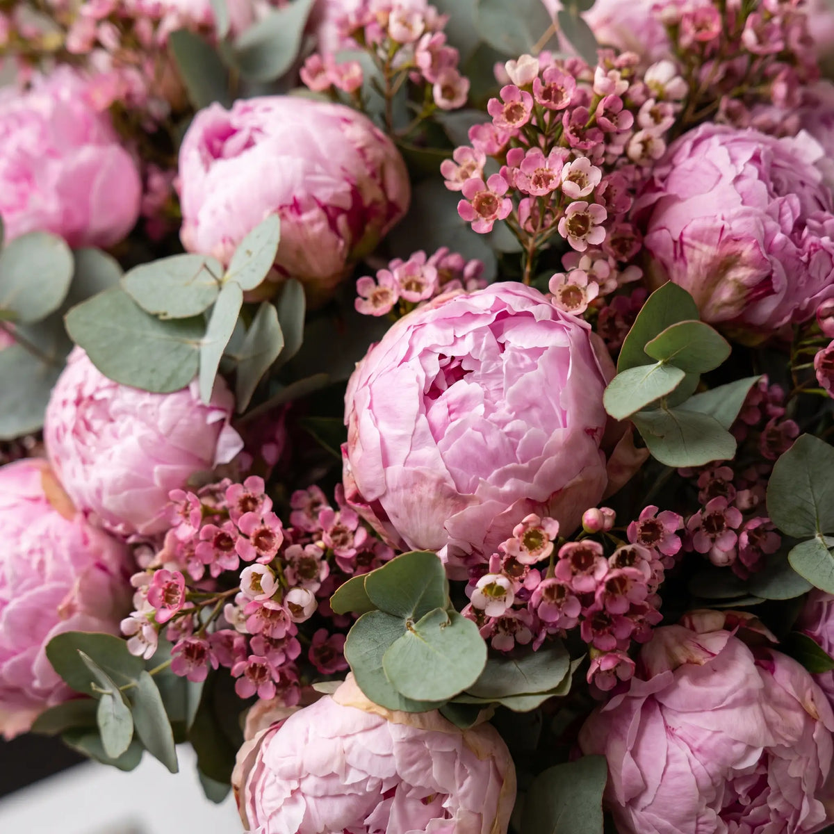Close-up of Peony Bliss peony bouquet