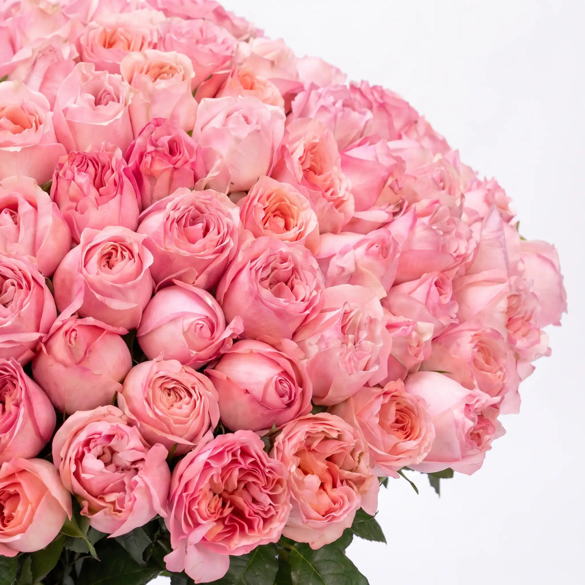 Close-up of Pink Royal hand-tied flower bouquet